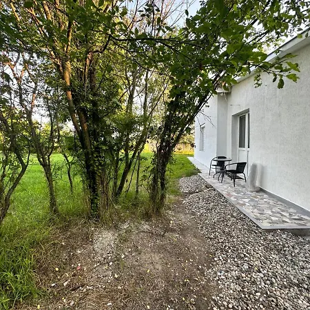 Sa Jakuzijem * Palics