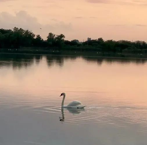 Sa Jakuzijem Apartman Palic