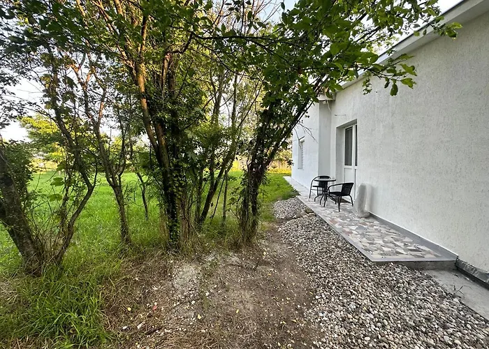 Sa Jakuzijem * 帕利克